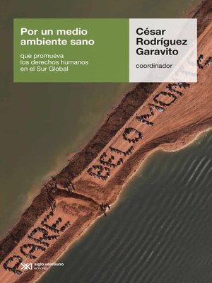 cover image of Por un medio ambiente sano que promueva los derechos humanos en el Sur Global